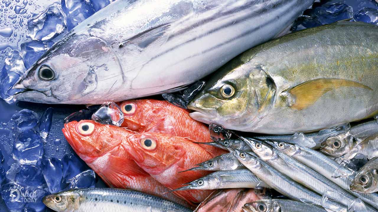Cách chọn và bảo quản cá luôn tươi ngon - Bếp từ Lorca - an toàn tối đa