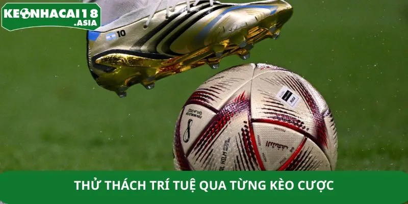 Thử thách trí tuệ qua từng kèo cược